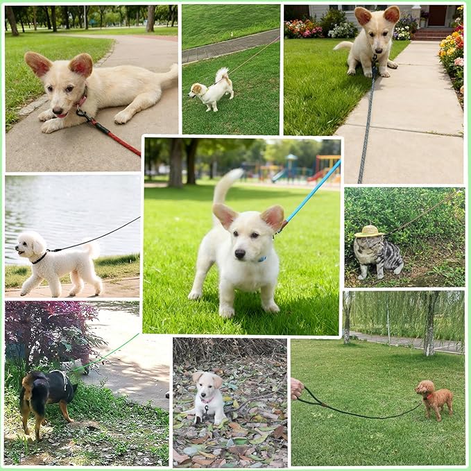 WYuZe 5ft Puppy Leash for Small Dogs, 1/4" Thin Rope Dog Leash with Easy to Use Hook, Chihuahua/Yorkie/Toy Breed Lightweight Cat Leashes, 10 Colors, Pink Green
