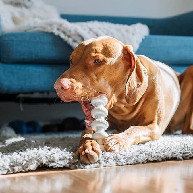Spunky Pup Clean Earth Recycled Stick | Made in USA | Made from 100% Recycled Water Bottles, Gray