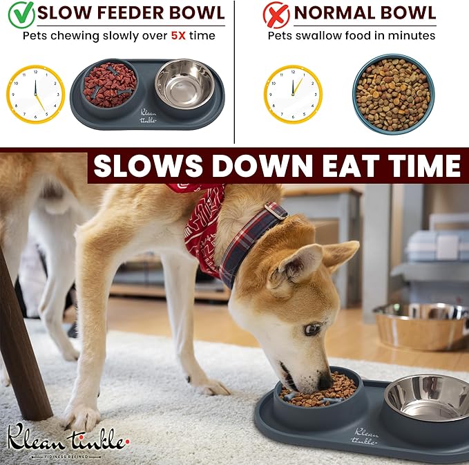 Pets Dog Bowl Set - Anti Skid Removable Double Slow Feeder Dog Bowls with Non Skid Silicone Mat - Stainless Steel Dog Water Bowl for Cats & Pets – A Beautiful Slate Gray Color