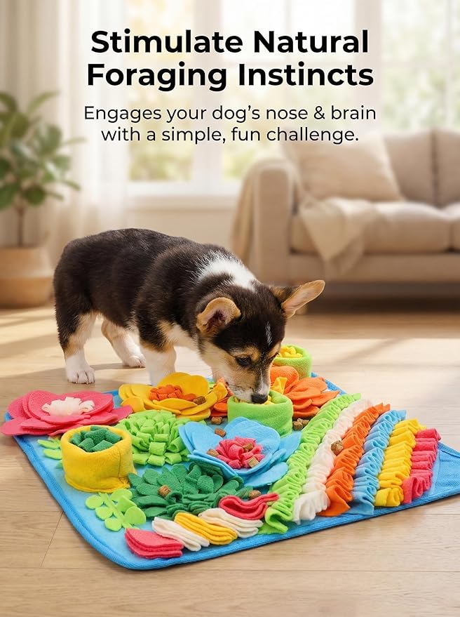 KeeKit Snuffle Mat for Dogs, 20''x20'' Large Slow Feeder Mat for Small & Medium Breeds, Encourages Natural Foraging Skills, Durable Sniff Mat for Mental Stimulation & Stress Relief