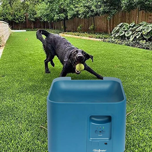 Big Dog Ball Launcher, Tennis Ball Thrower for Big Dogs and mid Sized Dogs
