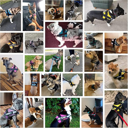 Bolux Dog Harness, No-Pull Reflective Dog Vest, Breathable Adjustable Pet Harness with Handle for Outdoor Walking - No More Pulling, Tugging or Choking (Purple, XS)