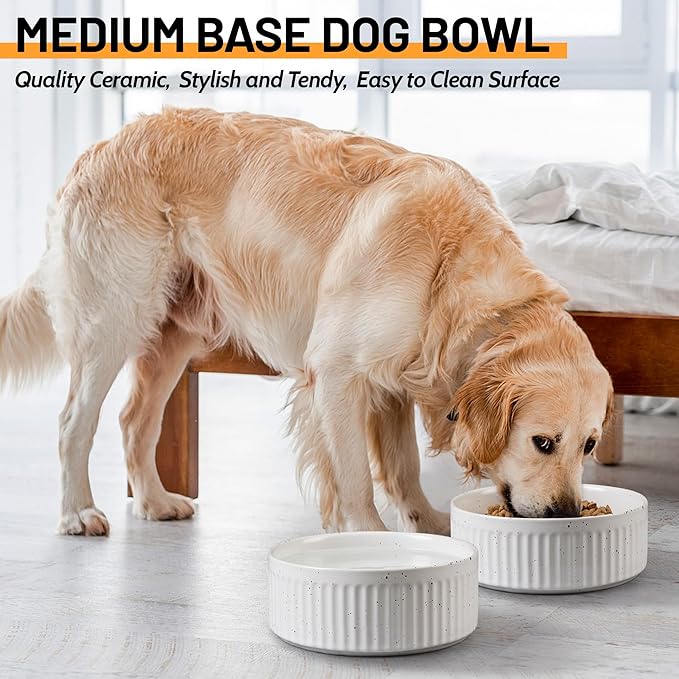 Non-Slip Ceramic Dog Bowls,8" Dog Food and Water Bowl Set with Silicone Base, 64oz/8cups Weighted Flip-Proof Pet Feeding Bowl for Medium and Large Dogs (Large,White)