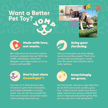 Yomp ToothBuddy MAX Dog Dental Chew Toy – Teething and Chewing Toy for Soft and Medium Chewers – Pet-Safe, Non-Toxic, All-Natural Rubber Dog Bone Toy