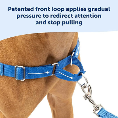 PetSafe Easy Walk Harness for Dogs - Pull-Free Walks - Patented Martingale Loop Design - Front Chest Leash Attachment - Comfort Straps - Breathable Harness Design - Medium, Black/Silver