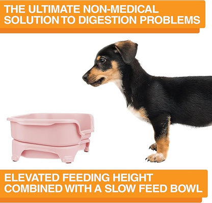 Neater Feeder Express Mess Proof Dog Bowls Elevated for Small Breed – Made in USA – No Spill Raised Slow Feeder Elevated Dog Bowl Stand, Stainless Steel Food and Water Bowl Set, Pink