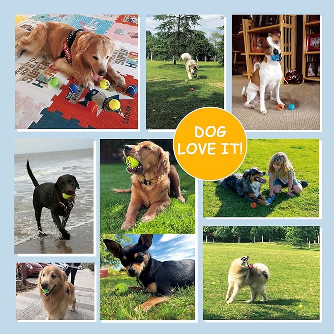 Squeaky Tennis Balls for Dogs Pack of 4 Easy Catching Dog Fetch Balls (Squeaky-Yellow)