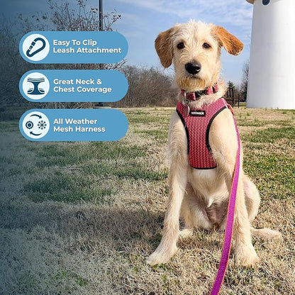 Best Pet Supplies - All Weather Mesh/Plush, Reflective, No Pull Harness for Small, Medium Dogs, Cats - Secure with Hook & Loop Fastener, Buckle, Double D-Rings - Fuchsia (2-Tone), XL
