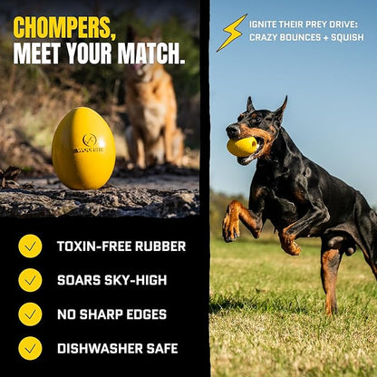 Virtually Indestructible Wobble Chew Toy - Lifetime Replacement - Tough, Durable Ball for Aggressive Chewers - Safe Non-Toxic Natural Rubber - Chew, Treats, Fetch - Med/Large Breed - 5"x4"