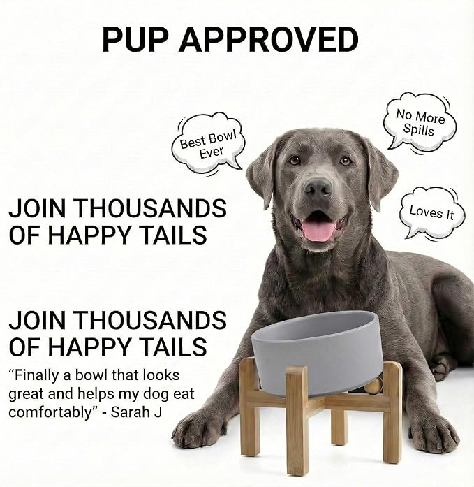 hjn Elevated Ceramic Dog Bowl 15°Slanted Raised Dog Bowl with Bamboo Stand for Small Medium Dogs and Cats, Pet Feeder -7.6-Cup (1800ml)-Gray