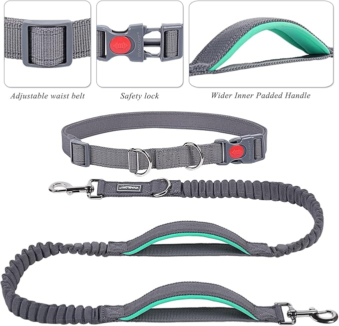 VIVAGLORY Hands Free Dog Leash Bungeetwin Running Dog Leash with Waist Belt for Running Walking & Jogging, Bungee & Around Waist for Pet, S, Grey/Turquoise