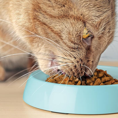 CatGuru Cat Bowls, Whisker Friendly Food Bowl for Indoor Cats, Reliefs Whisker Fatigue, Wide Kitten Dish, Non Slip Pet Dishes, Shallow Pet Plates (Aruba)