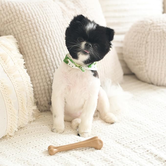 SPOT Bam-Bones Bone - Made with Strong Bamboo Fiber, Durable Long Lasting Dog Chew for Light to Moderate Chewers, Great Toy for Adult Dogs & Teething Puppies under 25lbs, 5.75in, Chicken Flavor