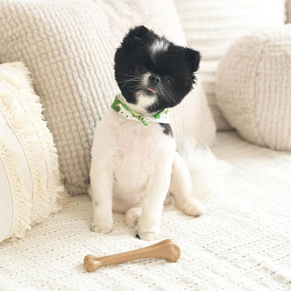 SPOT Bam-Bones Bone - Made with Strong Bamboo Fiber, Durable Long Lasting Dog Chew for Light to Moderate Chewers, Great Toy for Adult Dogs & Teething Puppies under 25lbs, 5.75in, Chicken Flavor