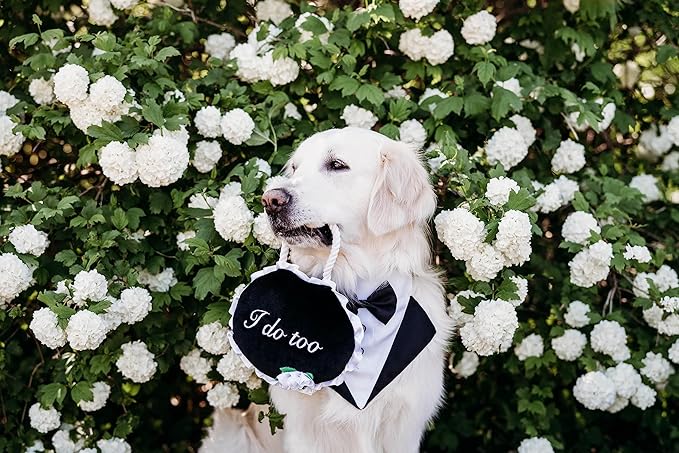ZippyPaws Wedding Toy - Dog Squeaky Toy to Keep Them Busy, Cute Plush for Small, Medium, & Large Dogs, Stuffed Puppy Toy, Pet Products, Gift for All Breeds, 2 Round Squeakers - "I Do Too" Wedding Sign