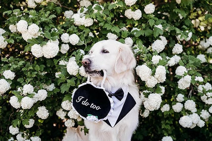 ZippyPaws Wedding Toy - Dog Squeaky Toy to Keep Them Busy, Cute Plush for Small, Medium, & Large Dogs, Stuffed Puppy Toy, Pet Products, Gift for All Breeds, 2 Round Squeakers - "I Do Too" Wedding Sign