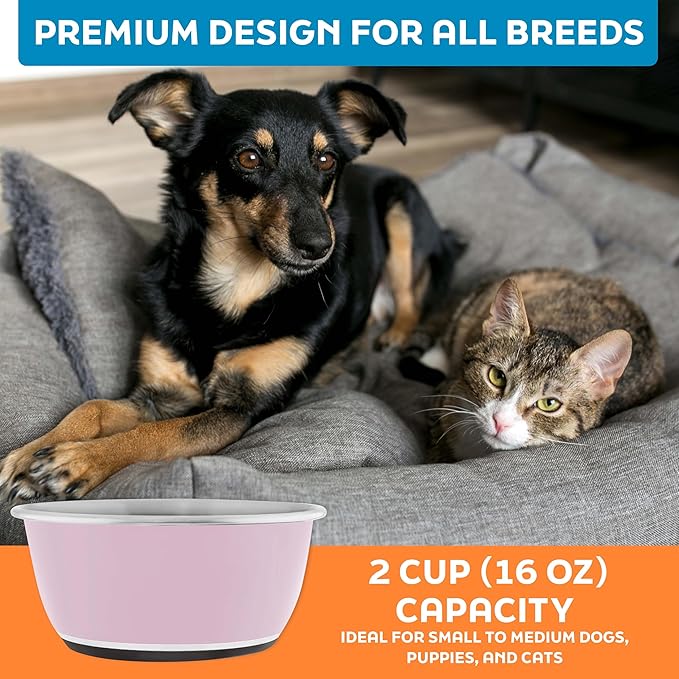 Master Pet Supply Stainless Steel Dog Bowls Set of 2 (16 Oz Each) with Non-Slip Rubber Base - Rose Quartz - Basic Dog Food Bowl Water & Food Bowls for Small Medium Large Dogs & Cats, Metal Dish