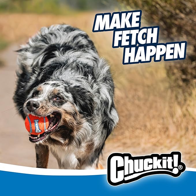 Chuckit! Dog Ball Launcher 12M Sport with 12" Handle Length for Medium 2.5" Dog Balls For Dogs 20-60 lb, Plastic Pet Fetch Ball Thrower, Perfect for Kids, Made in USA, Blue