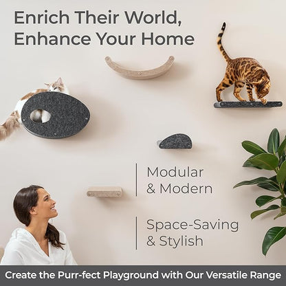 Wall Mounted Cat Perch Long Shelf by Pryde Pets - Floating Hammock Bed, 100% Sustainable PET Felt Feline Enrichment Climber Furniture for Indoor Cats, Modern Climbing Gym Jungle Design (Charcoal)