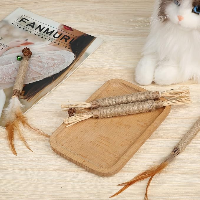 4pcs Kitten Chew Toys Teething, 2 Types Catnip Chew Toys for Cats Natural Silvervine Blend Sticks for Dental Care Treat with Raffia Feather Cat Teeth Cleaning Toy Indoor