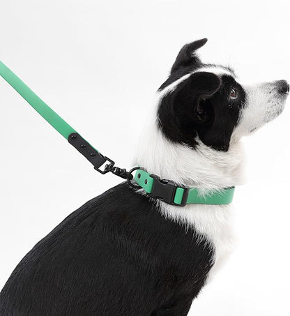 WLK1006K-5SET Luna Large 8FT Adjustable 6-in-1 Waterproof Hands-Free Leash and Collar with LED Flashlight, Bag Dispenser, and Poop Bag Holder, Julep