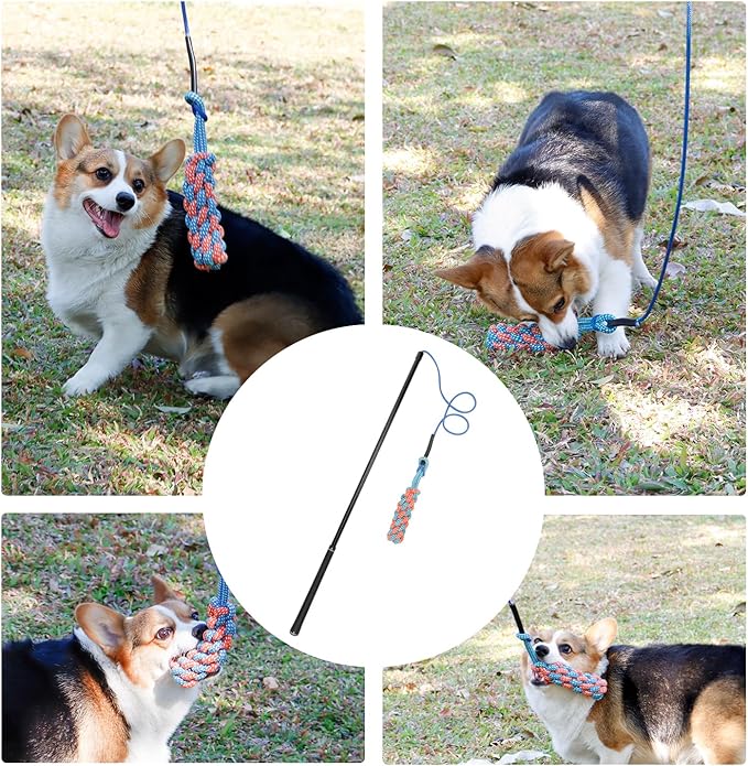 Flirt Pole Dogs Interactive Dog Toys for Large、Medium and Small Dogs for Chasing、Tug of War, Dog Chew Toys with Springs for Outdoor Exercise and Training