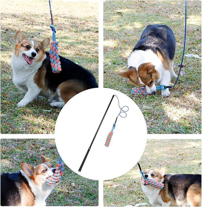 Flirt Pole Dogs Interactive Dog Toys for Large、Medium and Small Dogs for Chasing、Tug of War, Dog Chew Toys with Springs for Outdoor Exercise and Training