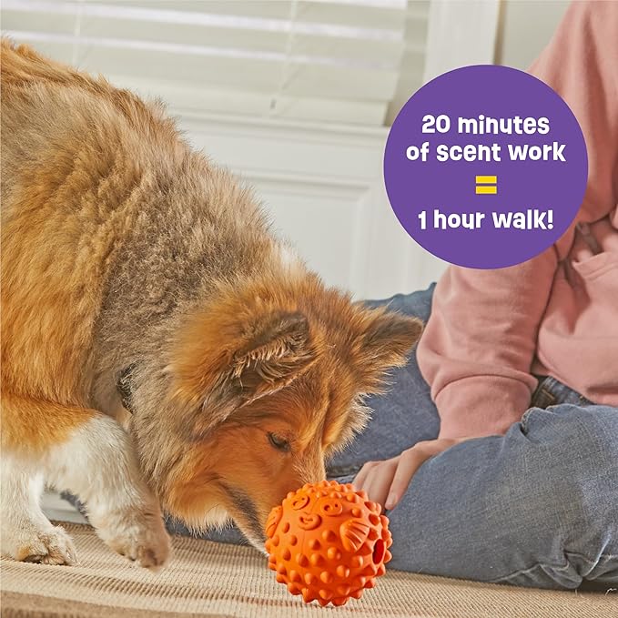 Brightkins Tough & Tumble Treats Dispenser Small Pufferfish - Enrichment Dog Toys for Aggressive Play, Gift for Puppies