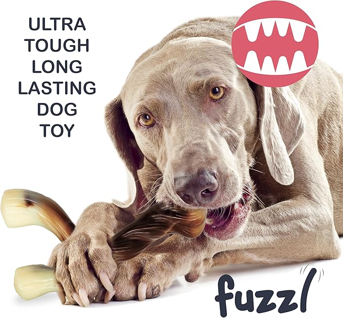 Ultra Tough Nylon Dog Chew Toy - Wishbone & Bone, Beef Scented, Heavy Duty, Water Resistant, Large Breed, 2 Count