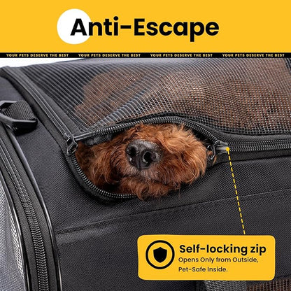 Dog Carrier Bag,Soft-Sided Pet Carriers for Dogs with 4-Sided Mesh, Cat Transport for Large Cats Small Dog Up to 20lb,Collapsible Dat Travel Carrier-L,Black