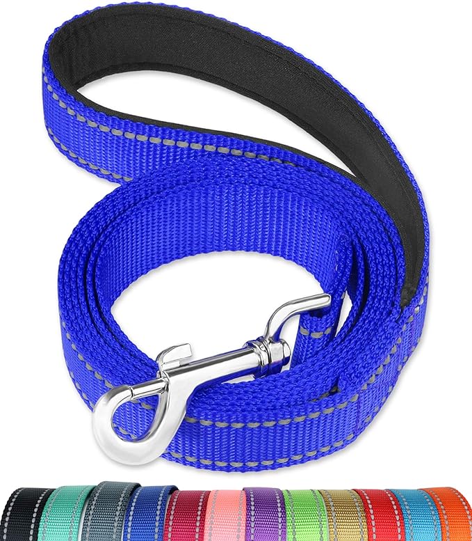 FunTags 4FT Reflective Dog Leash with Soft Padded Handle for Training,Walking Lead for Large & Medium Dog,1 Inch Wide,Royal Blue