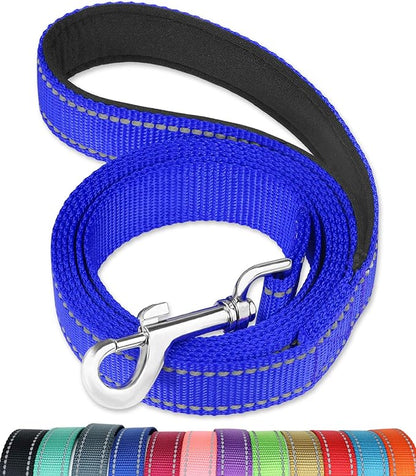 FunTags 4FT Reflective Dog Leash with Soft Padded Handle for Training,Walking Lead for Large & Medium Dog,1 Inch Wide,Royal Blue