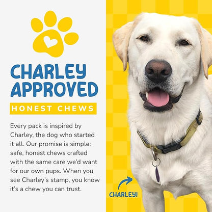 CHARLEY & ME Beef Tendons for Dogs, 100% Natural Beef Puppy Treats, Long-Lasting Dog Chew Toy for Aggressive Chewers - Nutritious Joint Support for Dogs - 6 Inches (Pack of 10)