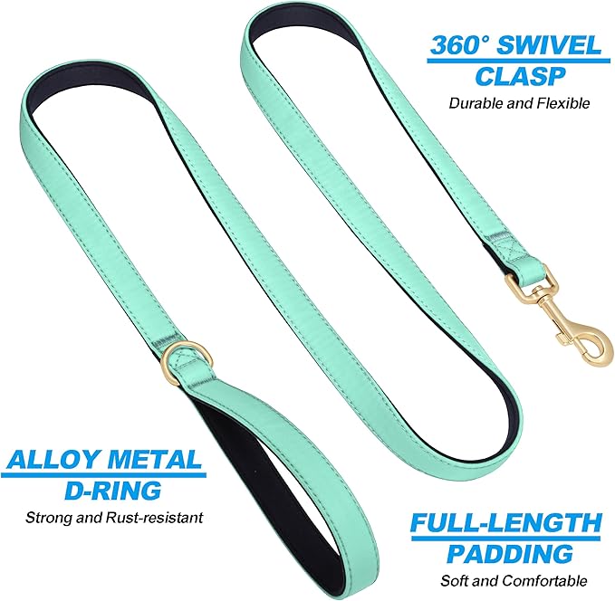 Didog 5FT Colorful Nylon Dog Leash with Soft Full-Length Padding, Lightweight and Durable Pet Leash for Medium and Large Dogs, Green, M