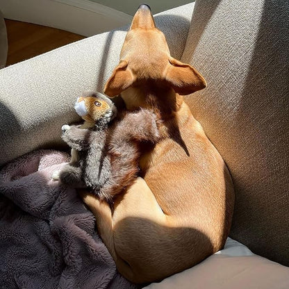 RUFFIN' IT Woodlands Plush Squirrel Dog Toy, Small
