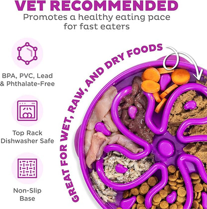 Outward Hound Fun Feeder Slo Bowl – Large 4‑Cup Capacity, Slow Feeding, Medium to Large Dogs, Non‑Slip, Purple, Flower Pattern