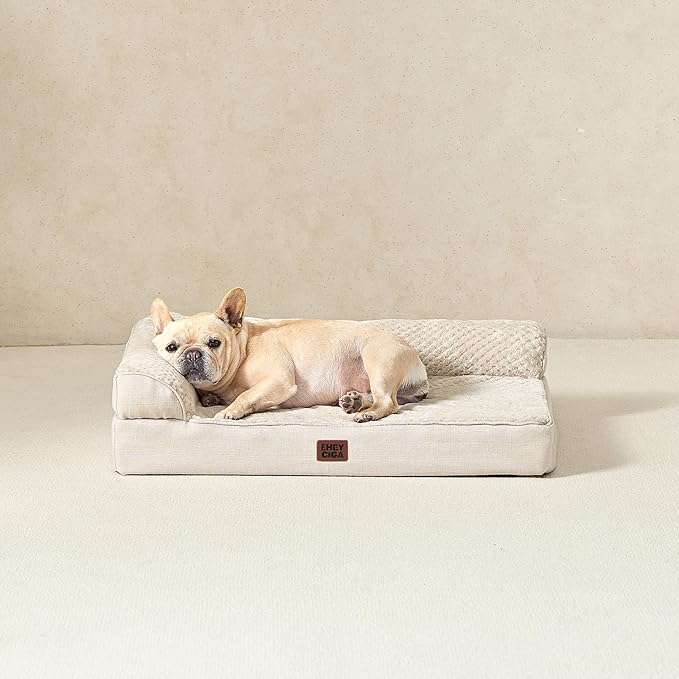 EHEYCIGA Memory Foam Dog Bed Large Size Dogs, Orthopedic Dog Bed Large with Washable Removable Cover, Waterproof Pet Sofa Couch with Nonskid Bottom, 36x27x6, Beige