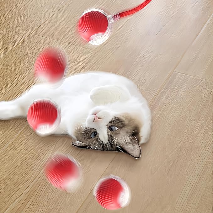 Interactive Cat Ball Toy with String, Interactive Cat Toys Ball Fast Rolling，Red, Bouncing Teaser Wand