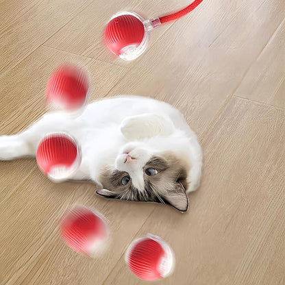 Interactive Cat Ball Toy with String, Interactive Cat Toys Ball Fast Rolling，Red, Bouncing Teaser Wand