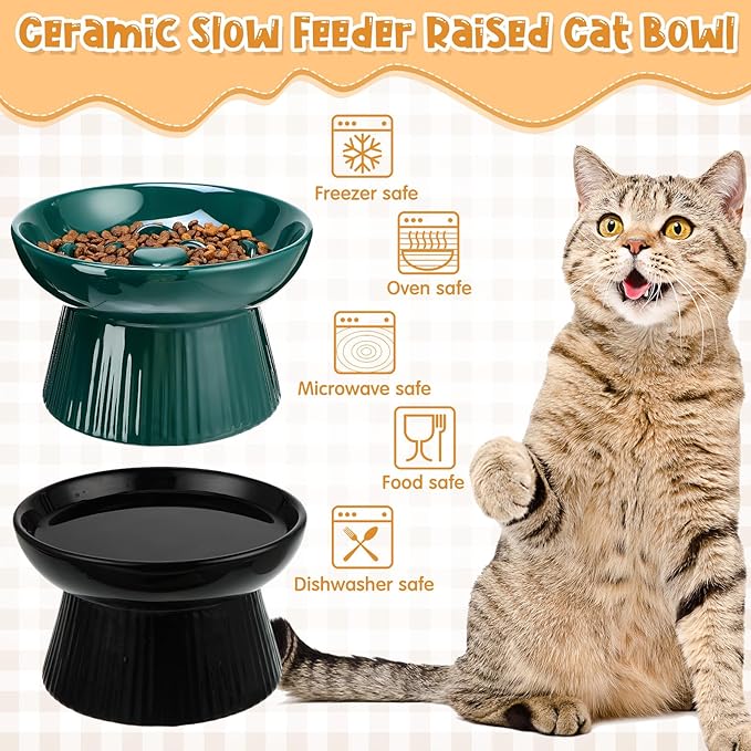 Tioncy 2 Pcs Raised Cat Slow Feeder Bowl Ceramic Elevated Cat Dog Food Bowl No Spill High Edge for Dry Wet Food and Water Easy to Clean, Dishwasher Safe (Dark Green,Black)