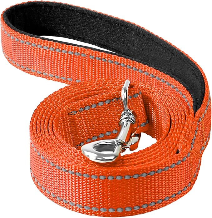 Reflective Dog Leash 4ft Soft Padded Handle Nylon Lead for Small & Medium Dogs, Durable Walking Training Leash for Night Safety (Orange,3/4Inch Wide)