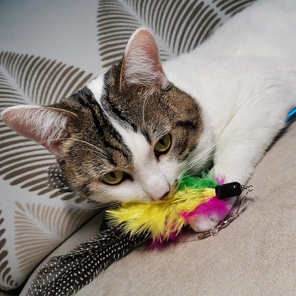 Cat Feather Toys Refills, 10 Pieces Worms Feathers Refills, Cat Wand Replacement Feathers Toy for Indoor Cats
