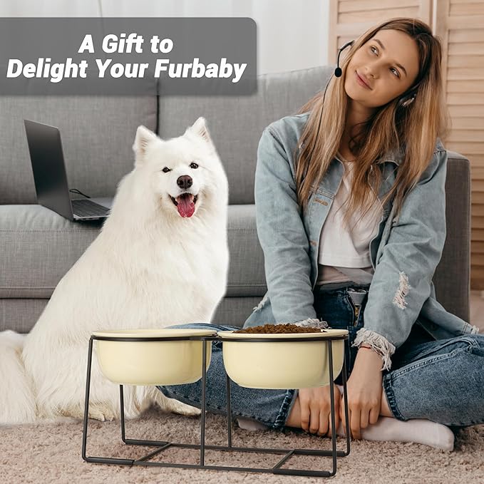 Ceramic Elevated Dog Bowl Set - Raised Double Feeding Bowls with Metal Stand - Pet Dishes for Medium and Large Dogs - 3.5 Cups - 54 fl oz - Beige
