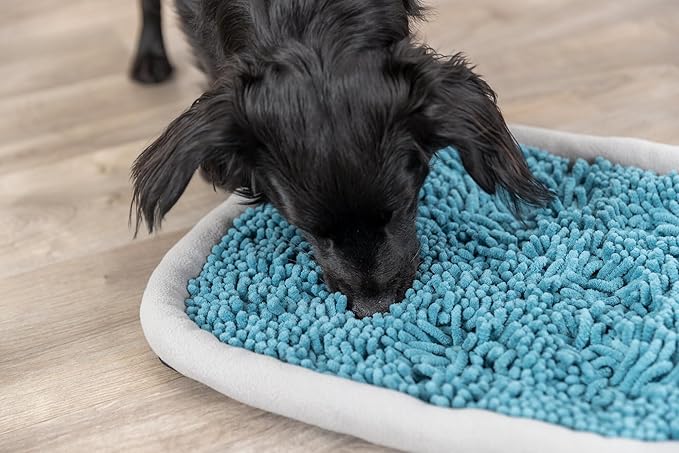 TRIXIE Snuffle & Seek Plate, Sniff Mat, Interactive Feeding Game, Slow Feeder, Level 1 Enrichment Puzzle for Dogs & Cats (Pack of 2)