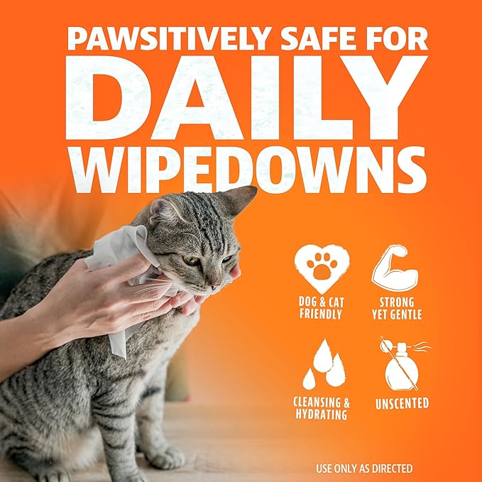 Angry Orange Unscented Pet Wipes - Hypoallergenic & Fragrance-Free With Aloe & Chamomile - Thick Grooming Wipes for Paws, Fur, Butt - Safe for Dogs & Cats - 320 Count - Value 4 Pack