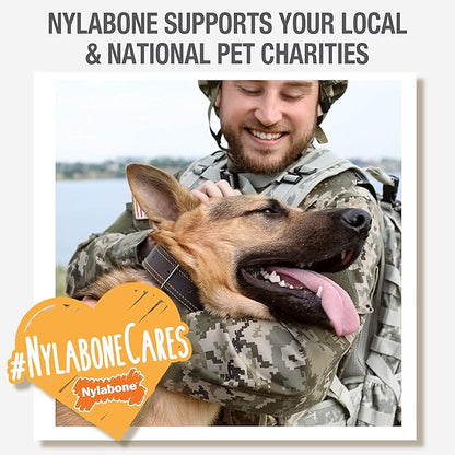 Nylabone Original Wishbone Power Chew Toy for Dogs, Dog Toys for Aggressive Chewers, Original Flavor, Medium - Up to 35 lbs, 1 Count