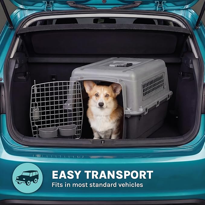 SportPet Airline Compliant MEDIUM 24.25" Travel Dog Kennel-Durable Plastic Airline Pet Carrier w/ Removable Wheels & Food Bowls, Collapsible Indoor/Outdoor Dog Kennel, Dogs up to 23"L & 15"H-Dark Gray