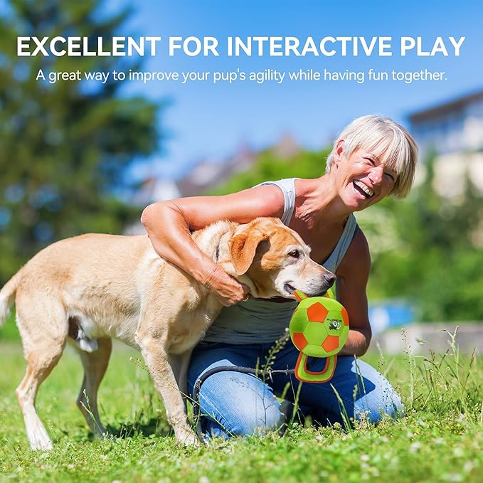 ALL FOR PAWS Dog Ball with Handles, Dog Toy with Squeaker, Interactive Tug of War Ball Toy for Small and Medium Dogs, 12.6 x 5.9 x 5.9 Inch