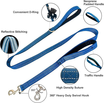 Dual Padded Handle Standard Dog Leashes with Reflective Stitching,360° Rotatable Heavy Duty Metal Buckle,D-Ring,Durable Nylon,for Medium Sized Dogs from 20 to 60 Pounds Walking and Training Blue 5Ft