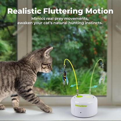 ALL FOR PAWS Interactive Cat Toys, Motion Activated Feather Cat Toy, Automatic Fluttering Bug Enrichment Toy for Kittens, Includes One Insect Replacement